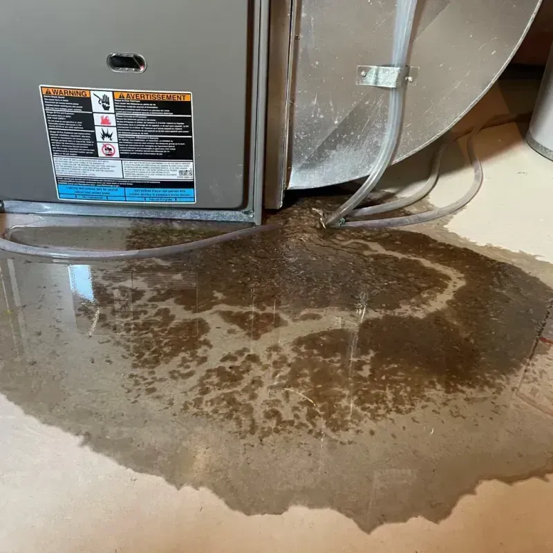 Appliance Leak Cleanup in Hill County, MT